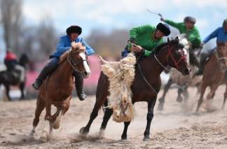 Как отразится закон о защите животных на национальных казахских играх