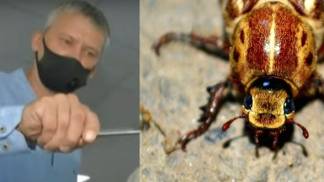 Металлург из Темиртау бросил работу и занялся разведением редких насекомых