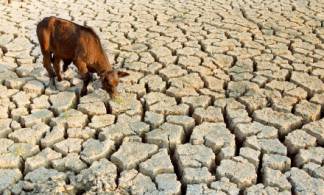 Засуха в Казахстане: природный катаклизм или халатность?