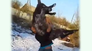В Алматинской области нашли героя видео с издевательствами над ослом