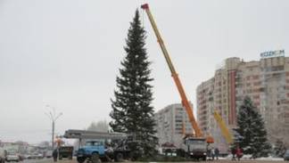 Новогоднюю ёлку установили в Усть-Каменогорске