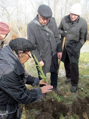 Более 2000 деревьев высажены по новой технологии в музее-заповеднике Усть-Каменогорска