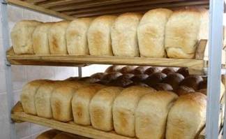 МСХ РК: за год на госрегулирование цен на хлеб потрачено более 11,5 млрд тенге
