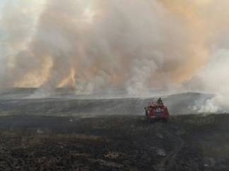 Поле в 35 гектаров выгорело в Усть-Каменогорске