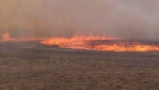Степные пожары охватили окраины Усть-Каменогорска