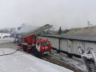 Два зерновых склада сгорели в Щучинске