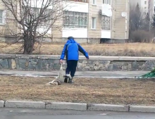 Жестокое убийство собаки запечатлела на видео жительница Усть-Каменогорска